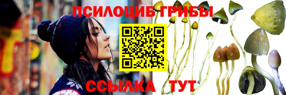 Псилоцибиновые грибы Psilocybine cubensis  Псилоцибиновые грибы Cubensis  Грязи  Вход с VPN 